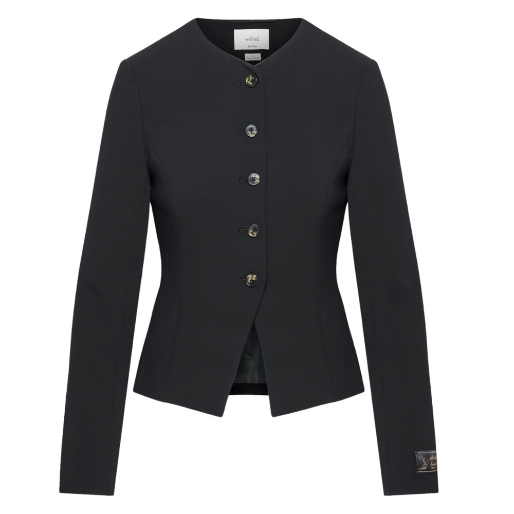 Aritzia Wilfred Regal Blazer